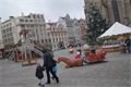 DSC05341