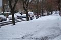 DSC05416