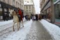 Trikralovy_pruvod_8.1.2017_079
