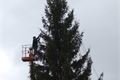 Vánoční strom Plzeň náměstí instalace (4)