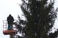 Vánoční strom Plzeň náměstí instalace (7)