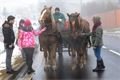 Masopust_v_Liticich_4.2.2017_210