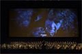 5_LOTR_Markéta_Navrátilová