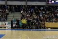 DSC_7940v