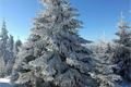 Železnorudsko_13_2_2017 (8)