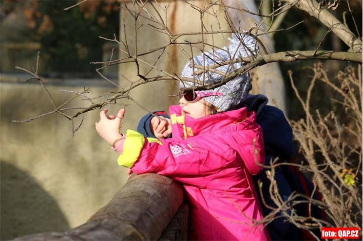 28_12_2015_zoo_plzen (4) 28_12_2015_zoo_plzen (4)