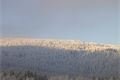 Šumava 