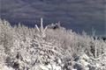 Šumava