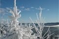 Šumava