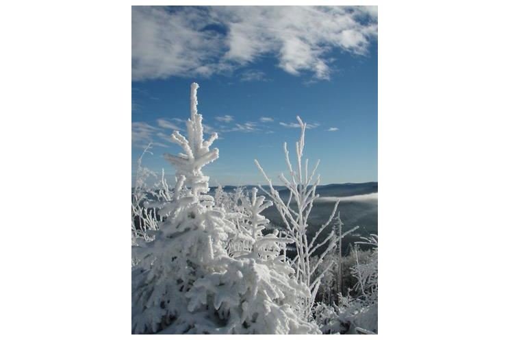 Šumava Šumava