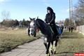masopust cerna ovce (42)