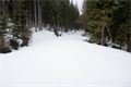 DSC08009