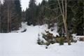 DSC08011