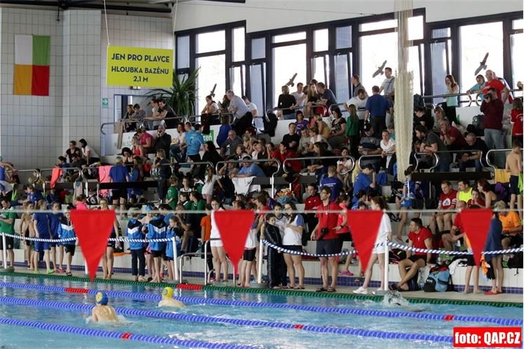 vytrvalec bazen slovany (11) vytrvalec bazen slovany (11)