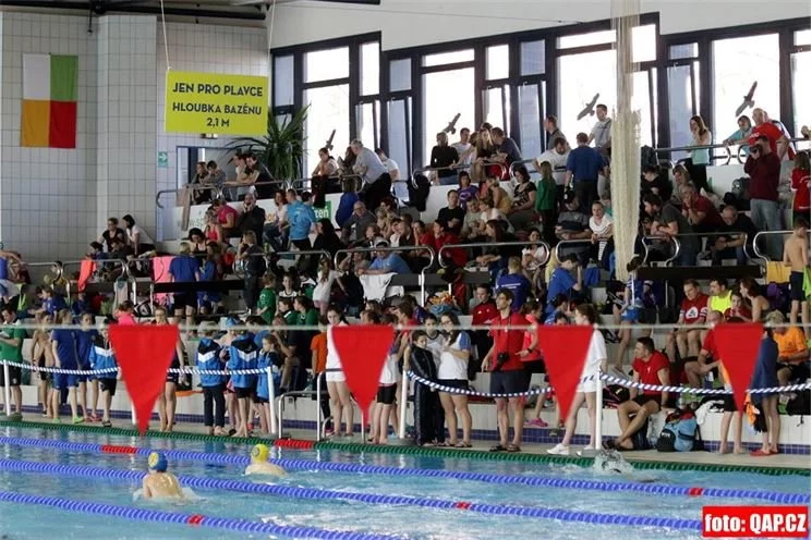 vytrvalec bazen slovany (11) vytrvalec bazen slovany (11)