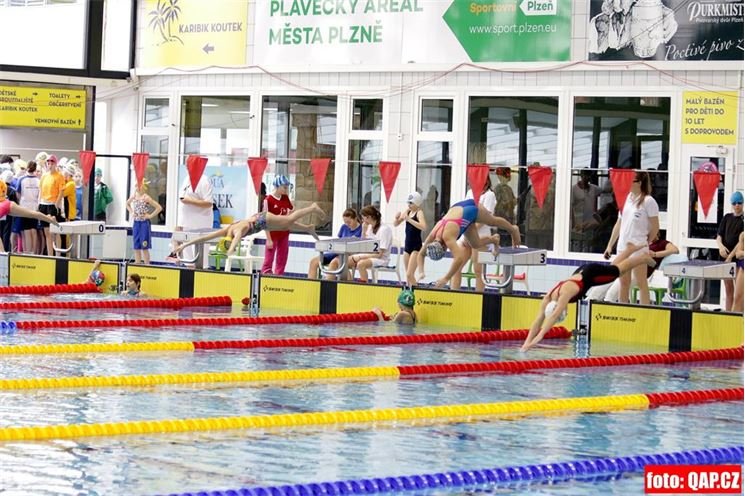 vytrvalec bazen slovany (66) vytrvalec bazen slovany (66)