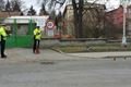 20170305_115024_resized