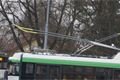 FOTO_QAP_CZ (11)