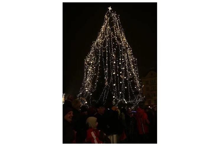 rozsvícení stromečku v Plzni na náměstí Foto QAP(43)