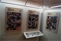 foto-qap-cz (9)