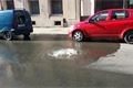 20170510_081343_resized