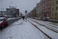 DSCF0906