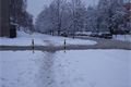 DSCF0911