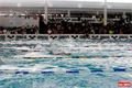  International Arena Swim Meeting 2017 Regensburg 
