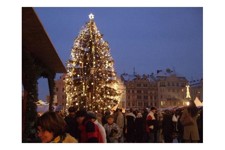 Vanoční strom Plzeň