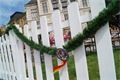 foto-qap-cz (22)