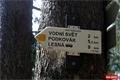 NS Vodni Svet Tachovsko foto QAP_CZ (14)