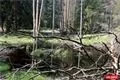 NS Vodni Svet Tachovsko foto QAP_CZ (40)