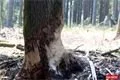 NS Vodni Svet Tachovsko foto QAP_CZ (82)