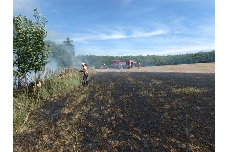 požár pole a lesa - Břasy