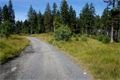DSC09081