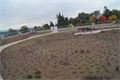 DSC00503