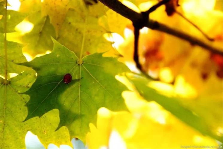 DSC_0027 DSC_0027