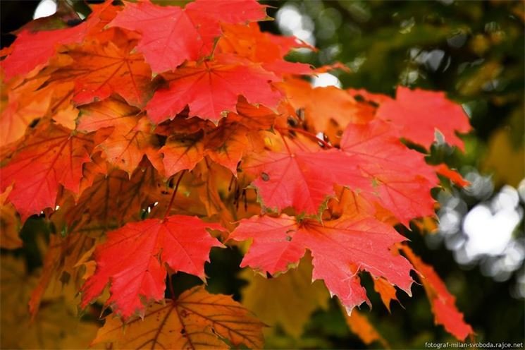 DSC_9692 DSC_9692