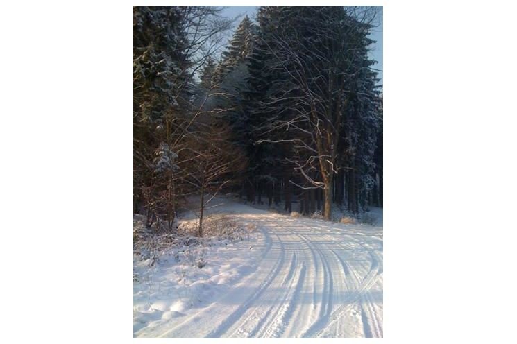 QAP FOTO zimni cesta QAP FOTO zimni cesta