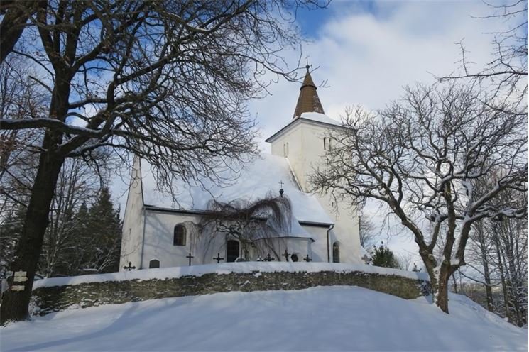 zimni_mourenec_-_foto_Jana_Kadlecová