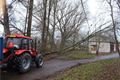 padlý strom Domažlice