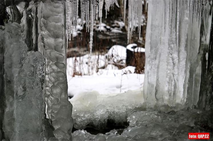 čeňkova pila foto QAP (21)