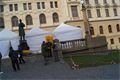 foto-qap-cz (19)