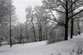 DSC_6357