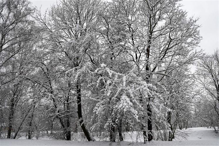 DSC_6365 DSC_6365