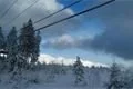 Pancíř (4)
