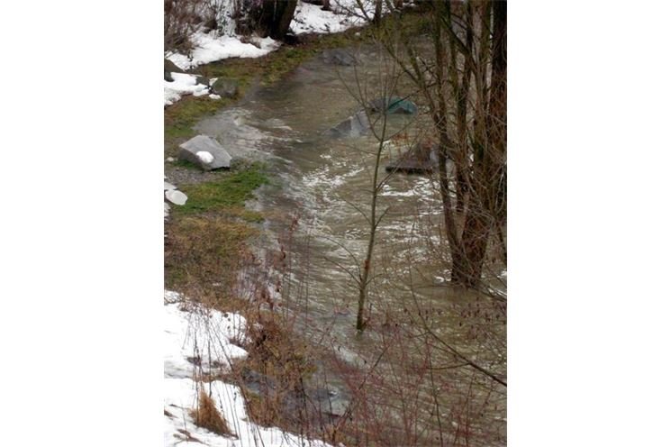 Radbuza u Škoda sport parku Radbuza u Škoda sport parku