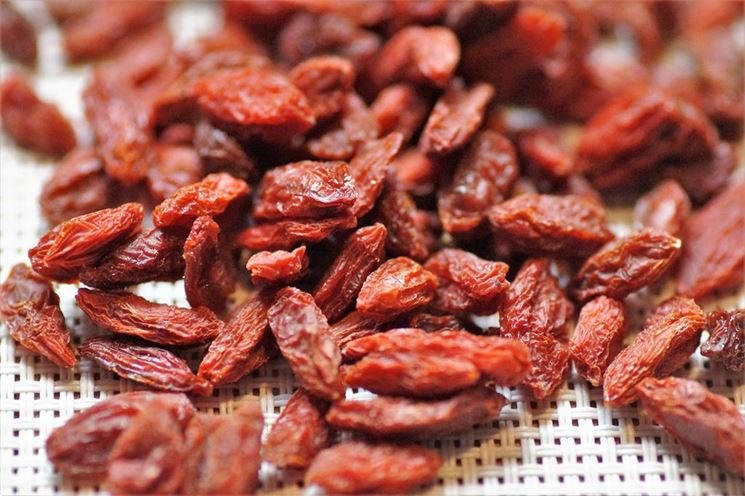 goji-3162716_1280 goji-3162716_1280