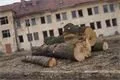 foto-qap-cz (10)