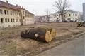 foto-qap-cz (12)
